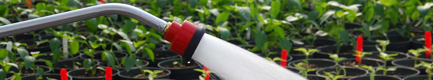 Irrigation | Watering