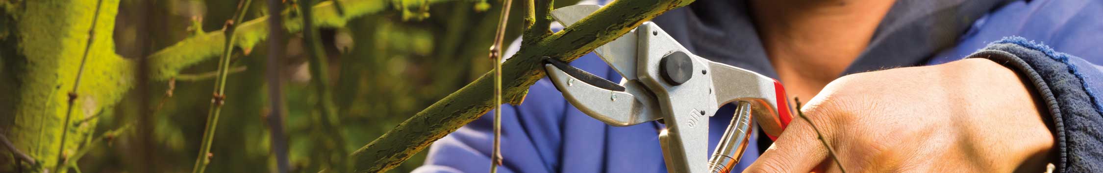 Hand Pruning Shears | Snips | Knives