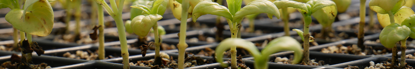 Seeding accessories