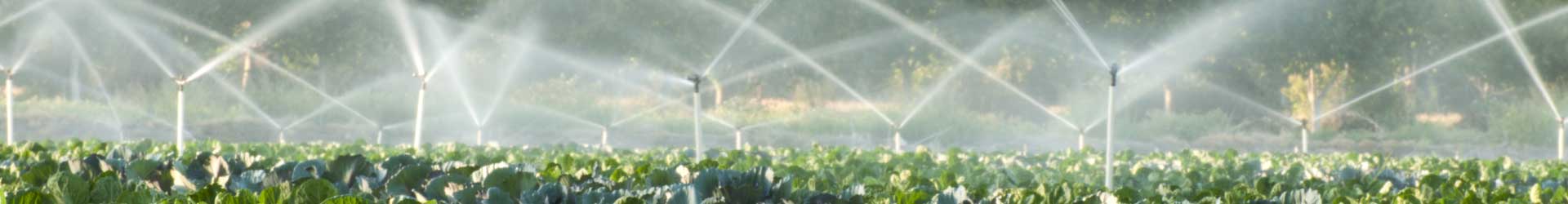 Spray Irrigation