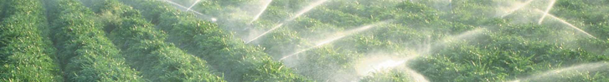 Irrigation