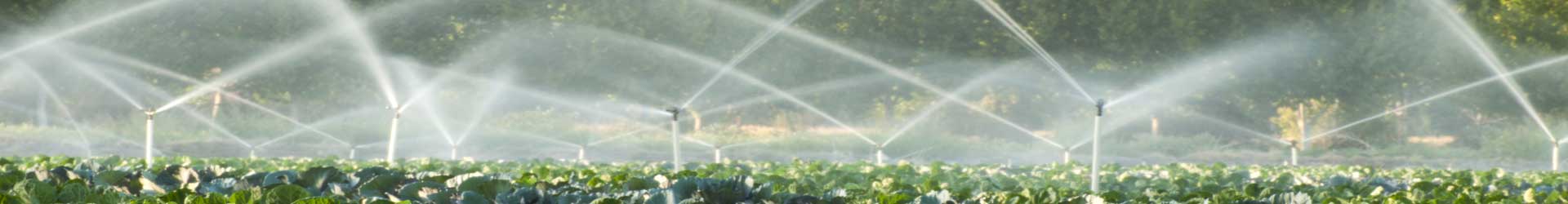 Irrigation