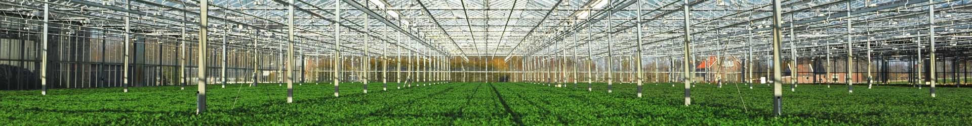 Greenhouses