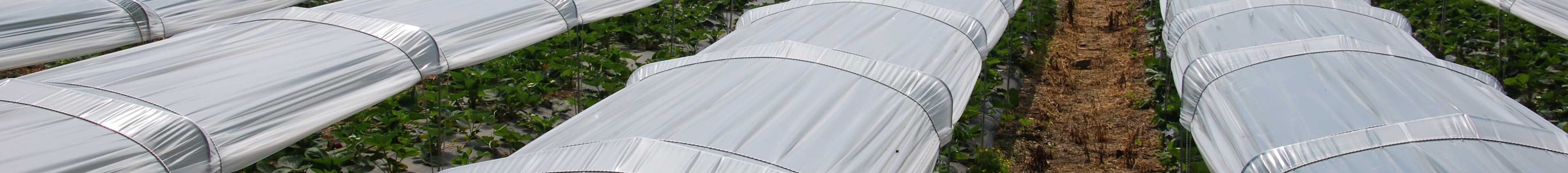 Mini-Tunnels perforés