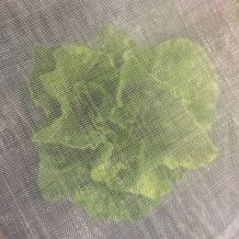 Anti-Insect Exclusion netting / Woven