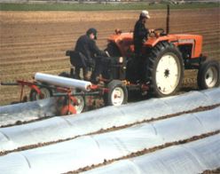 Mechanical Transplanter Low Tunnel Layer Model 95