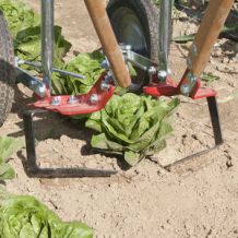 Lames à angle pour Houe Double de Johnny's Selected Seeds