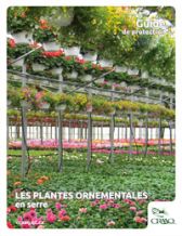 Les plantes ornementales en serre | Guide de protection